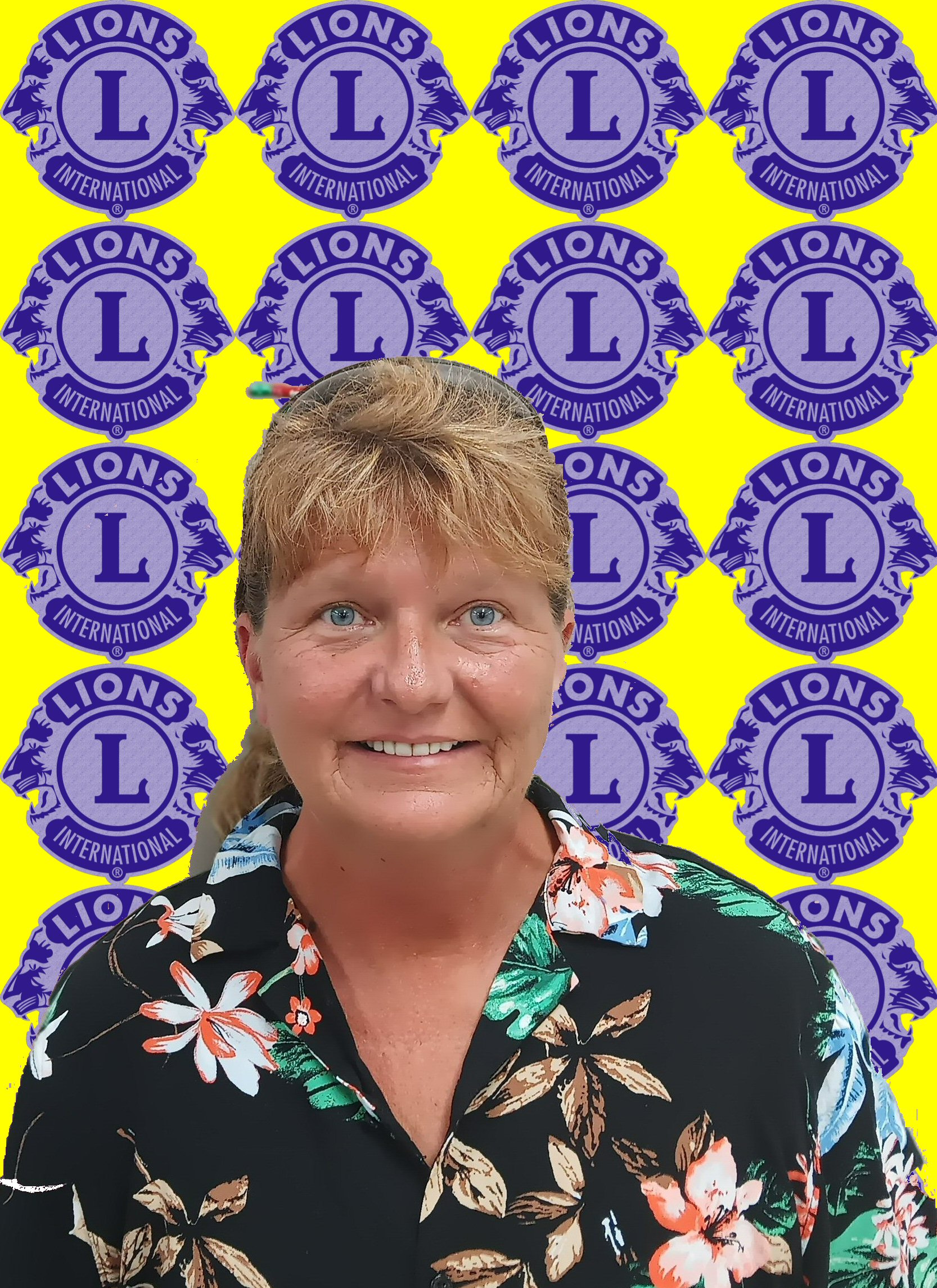 ( Click on it ) Immediate Past District Governor: Lion Amy Hill